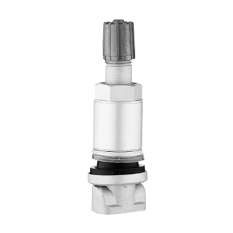 Клапаны TPMS-TPMS-01